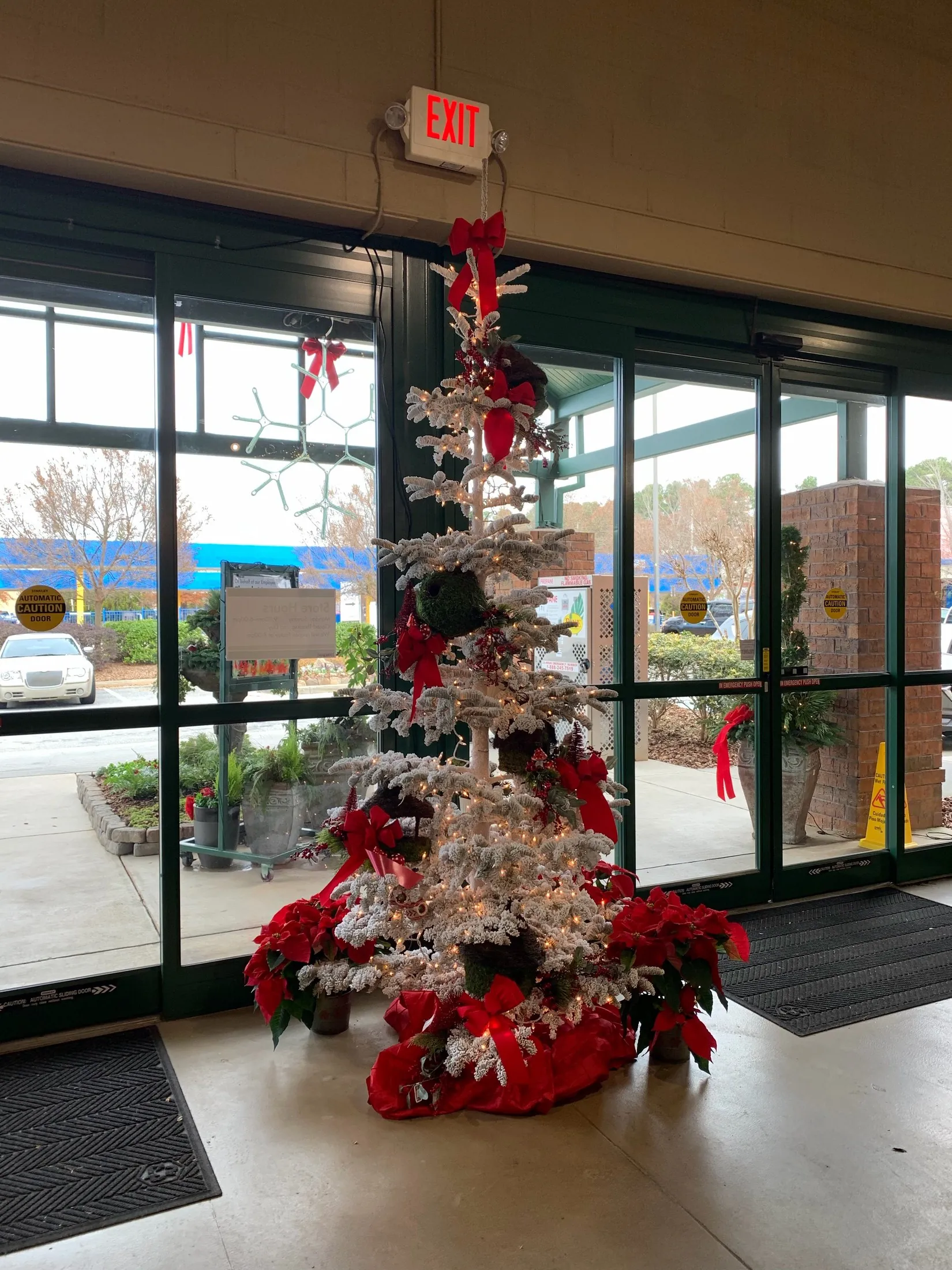 A real frosted Christmas tree with red ribbon and poinsettias in an entryway