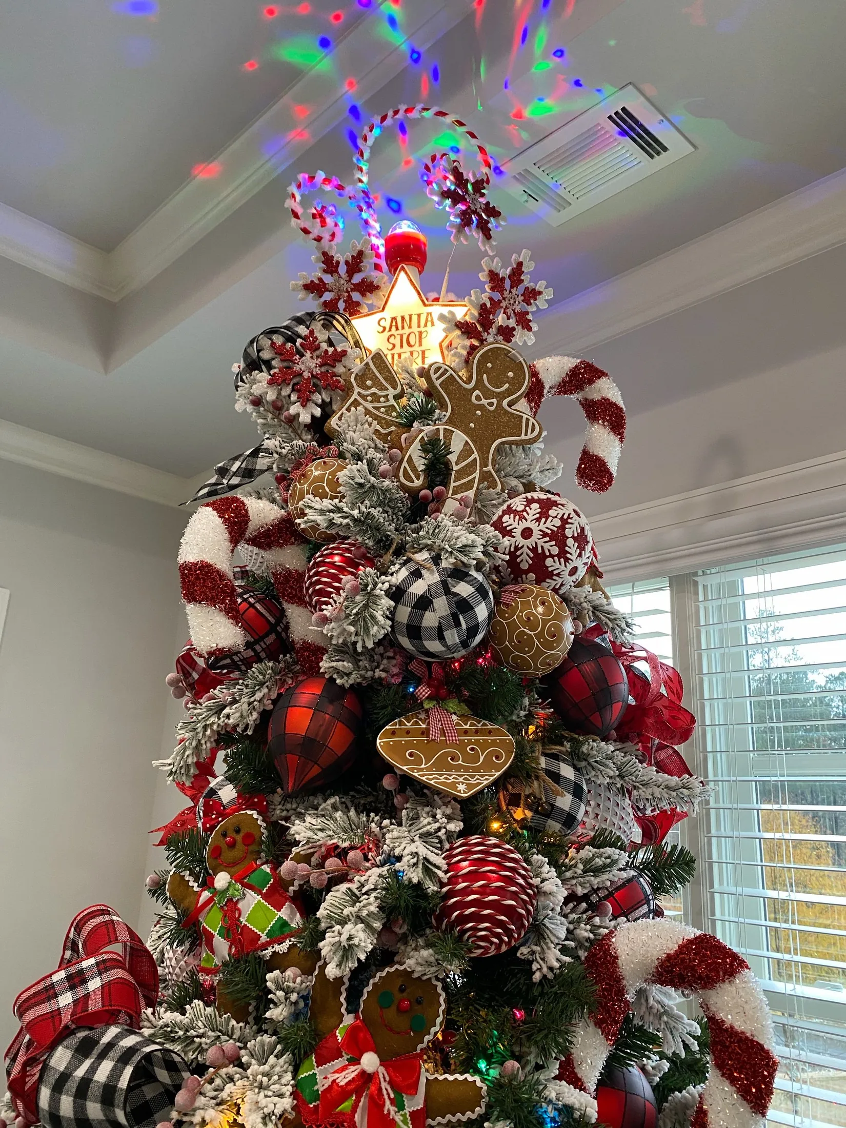 A real Christmas tree decorated with gingerbread ornaments, candy canes, and plaid ribbon